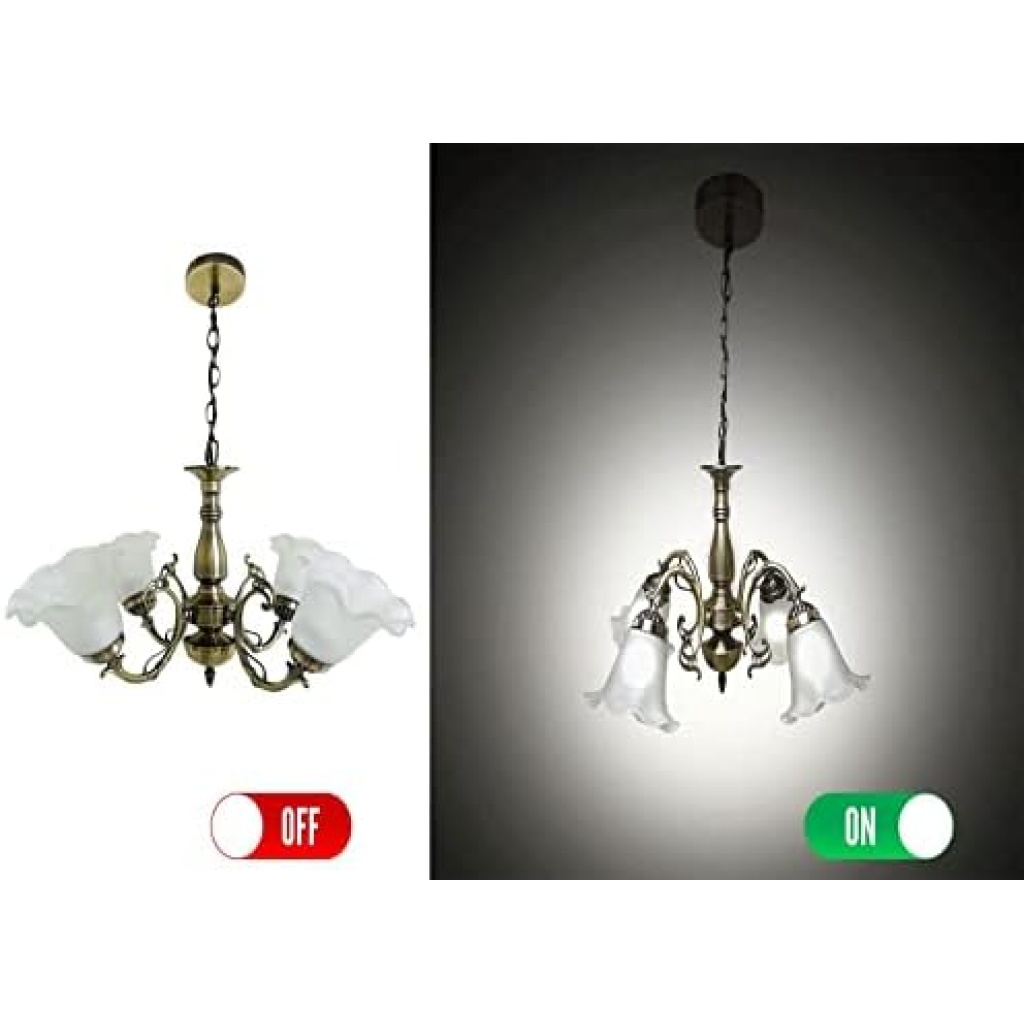 FazNova Ceiling Chandelier | Elegant & Modern Lighting for Sophisticated Interiors