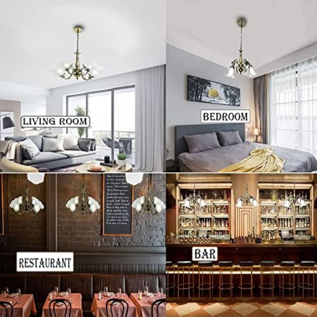FazNova Ceiling Chandelier | Elegant & Modern Lighting for Sophisticated Interiors